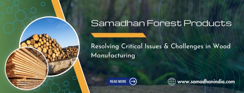 ERP for Wood Industries: Resolving Critical Issues & Challenges