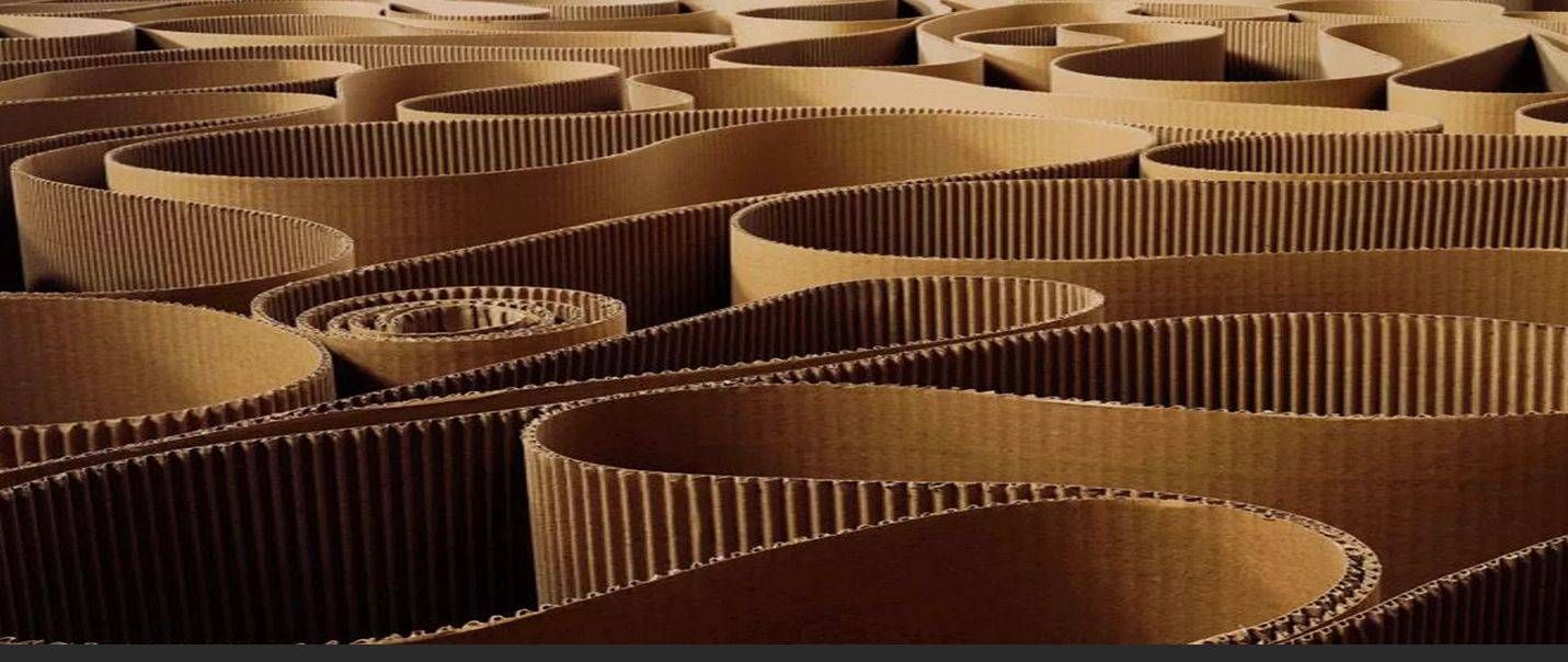 Corrugated Manufacturing